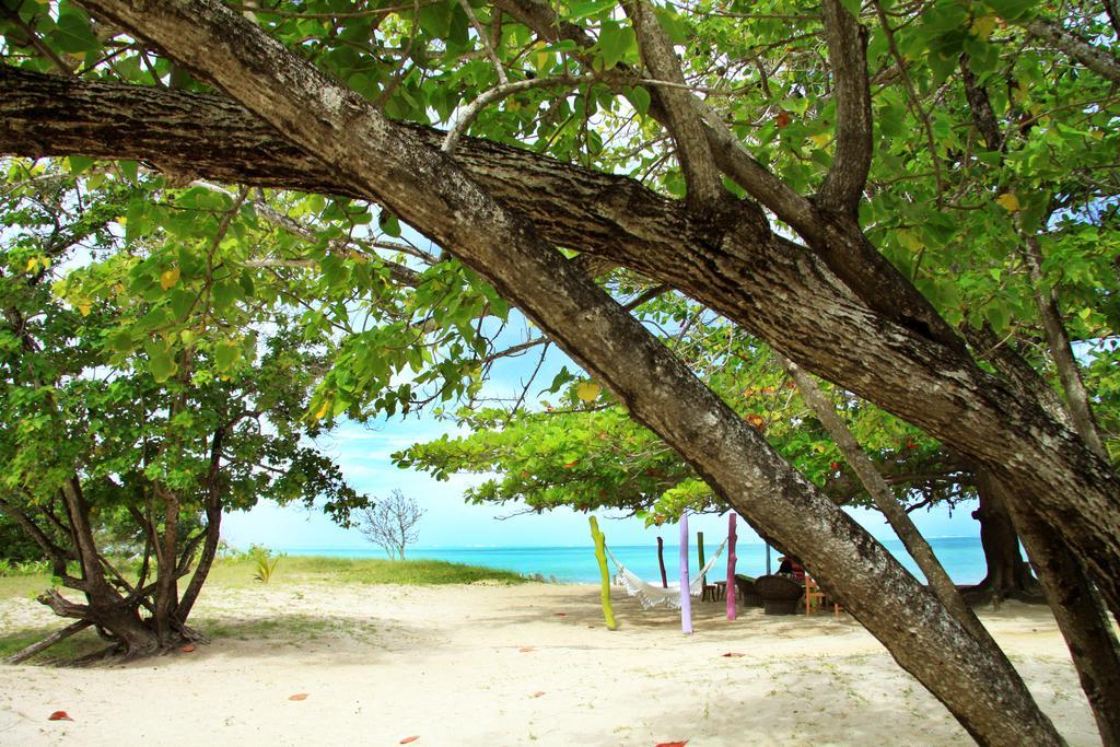 Pousada Borapira Tatuamunha المظهر الخارجي الصورة